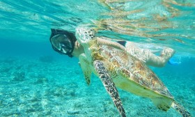 몰디브여행 몰디브 관광청 코로나 보험 가입하기