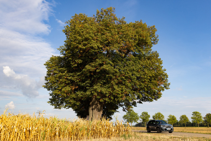 2023 BMW X1 연비 색상 제원 가격 사진 리뷰