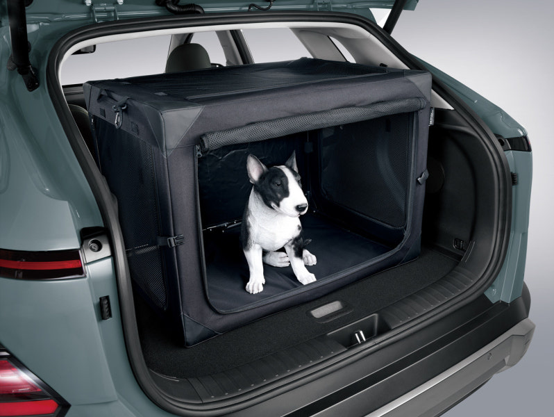 2023 코나 하이브리드 연비 색상 제원 가격 사진 리뷰