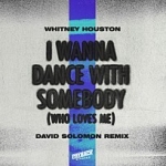 I Wanna Dance with Somebody (Who Loves Me) (David Solomon Remix) 이미지