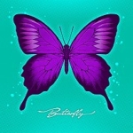 Butterfly (버터플라이) 이미지
