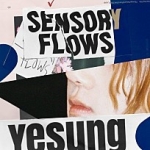 Sensory Flows - The 1st Album 이미지