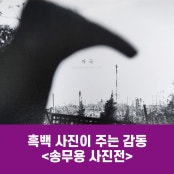 리뷰 썸내일