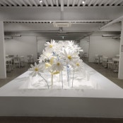 리뷰 썸내일
