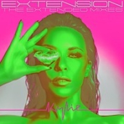 Extension (The Extended Mixes) 이미지