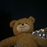 Teddybears 이미지