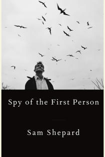 Spy of the First Person 이미지