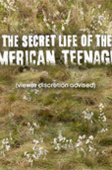미국 십대의 비밀생활 시즌3 이미지