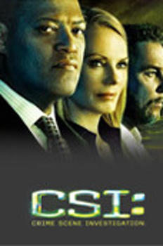 CSI 라스베가스 시즌9 이미지