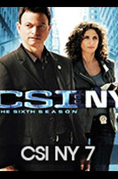 CSI 뉴욕 7 이미지