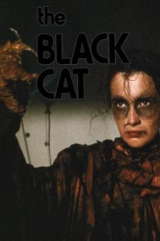 검은 고양이 이미지