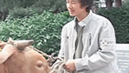 서울에 소가 나타났다