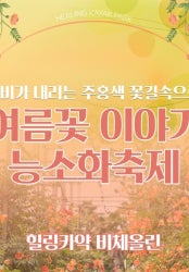 Á¦ÁÖ ºñü¿Ã¸° ´É¼ÒÈÃàÁ¦