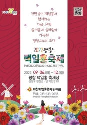 평창백일홍축제 전시 썸내일