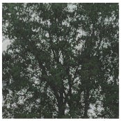 이현호 개인전 전시 썸내일