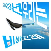 울산 오빠들의 ‘울빠(ULPPA)’ 전시 썸내일