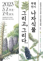 나자식물 그리고, 그리다. 전시 썸내일