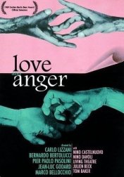 사랑과 분노