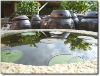 당일치기로 즐긴 순창 담양 여행기...