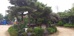 트리디비 - 농장수목 판매 합니다 트리디비(treedb)