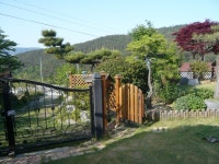 트리디비 - [부산]★조경 공사후 저희 농장 조형수로 식재한조경수 전지사진 입니다 트리디비(treedb)