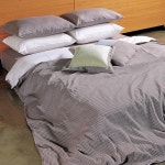 [선염시어서커)칸타타(페일그린)[J2344]]