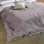 [선염시어서커)칸타타(초콜릿)[J2345]]