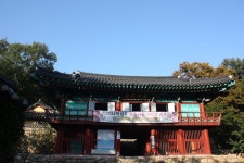 봄바람, 귓가 간질거리면 달성군 비슬산은 온통 ‘참꽃화원’,대구광역시 달성군,탐사,여행기사,트래블아이
