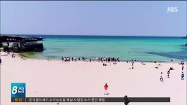 JIBS | 뉴스 다시 보기 임금근로자 보험 가입률 취약