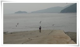 강화도-석모도 소규모 투어 다녀온 이야기. - New Dossa - 강화도-석모도 소규모 투어 다녀온 이야기.