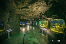 여수관광문화 > 이용안내 > 사진갤러리 > 의 여수해양수산과학관 게시물 상세보기