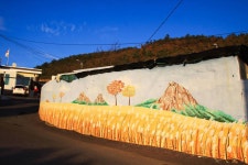 여수관광문화 > 이용안내 > 관광사진 다운로드 > 의 장등벽화마을_4 게시물 상세보기