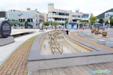 여수관광문화 > 이용안내 > 사진갤러리 > 의 이순신광장 게시물 상세보기