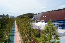 여수관광문화 > 이용안내 > 사진갤러리 > 의 진남체육공원 게시물 상세보기