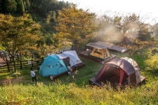 여수관광문화 > 이용안내 > 사진갤러리 > 의 봉황산휴양림 게시물 상세보기