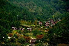 여수관광문화 > 이용안내 > 사진갤러리 > 의 봉황산휴양림 게시물 상세보기