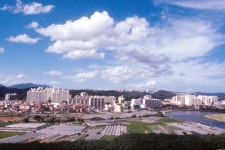 남산에서 바라본 태화동 아파트 단지 [울산사진DB] 남산에서 바라본 태화동 아파트 단지