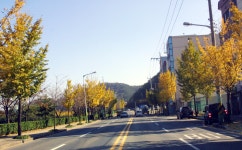 전광사 앞쪽 남산 순환도로 [울산사진DB] 전광사 앞쪽 남산 순환도로