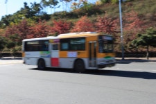 시내버스 [울산사진DB] 시내버스