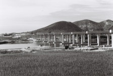 태화제2교 전경 [울산사진DB] 태화제2교 전경