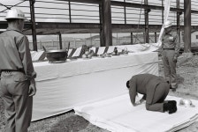 유틸리티 및 정비센타 상량식 [울산사진DB] 유틸리티 및 정비센타 상량식