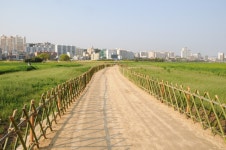 중구 태화들과 십리대밭 전경 [울산사진DB] 중구 태화들과 십리대밭 전경