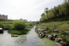 삼호섬 [울산사진DB] 삼호섬