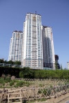 중구 마제스타워 전경 [울산사진DB] 중구 마제스타워 전경