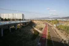 중구 동천강 자전거도로 [울산사진DB] 중구 동천강 자전거도로