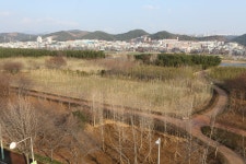 삼호지구 철새공원 [울산사진DB] 삼호지구 철새공원