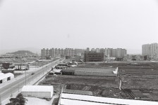 삼산시가지 [울산사진DB] 삼산시가지