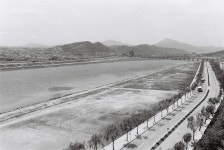 도로 [울산사진DB] 도로