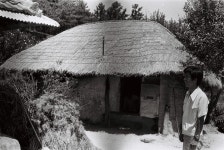 초가집 전경 [울산사진DB] 초가집 전경