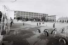 울산국민학교 [울산사진DB] 울산국민학교